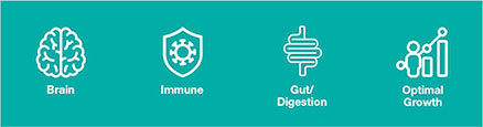 Early life health benefits icons