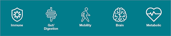 active lifestyle health benefits icons