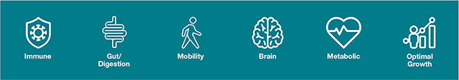dietary supplements health benefits icons