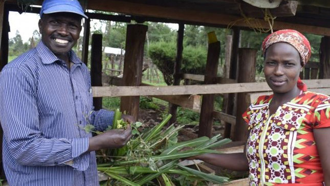 Nehemiah and Leah Koech stand on their dairy farm in Kenya. Nehemiah and Leah Koech stand on their dairy farm in Kenya.