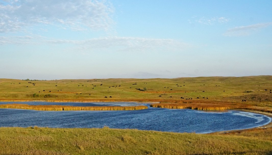 Cargill and Ducks Unlimited Working Together to Restore