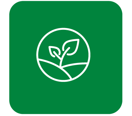 green square with white globe and plant outline