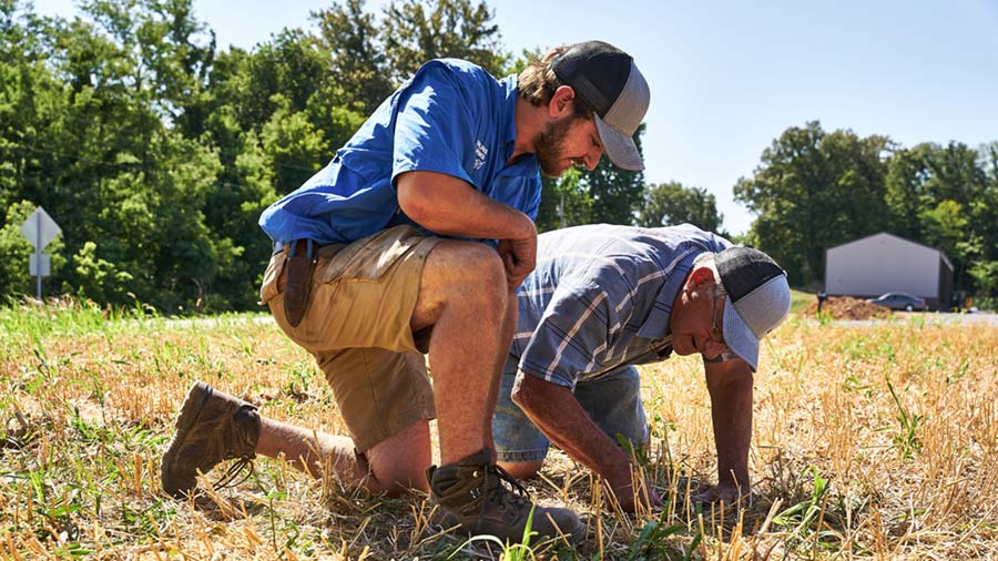 Two farmers in a field kneel down to look at their crops grown with regenerative agriculture practices. 