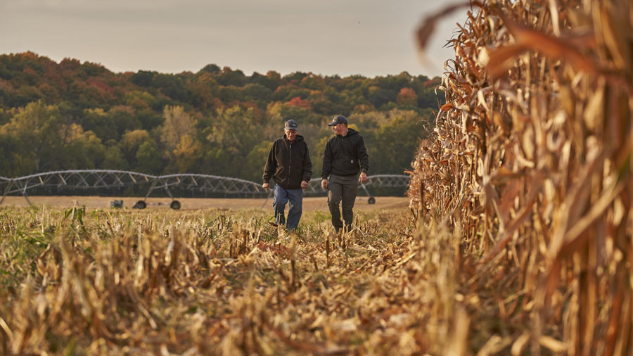 Two farmers in a field kneel down to look at their crops grown with regenerative agriculture practices. Two farmers in a field kneel down to look at their crops grown with regenerative agriculture practices.