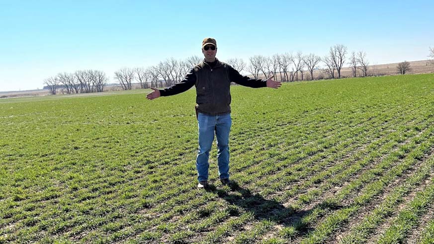 A farmer stands with his arms spread in the middle of a large field of green.  