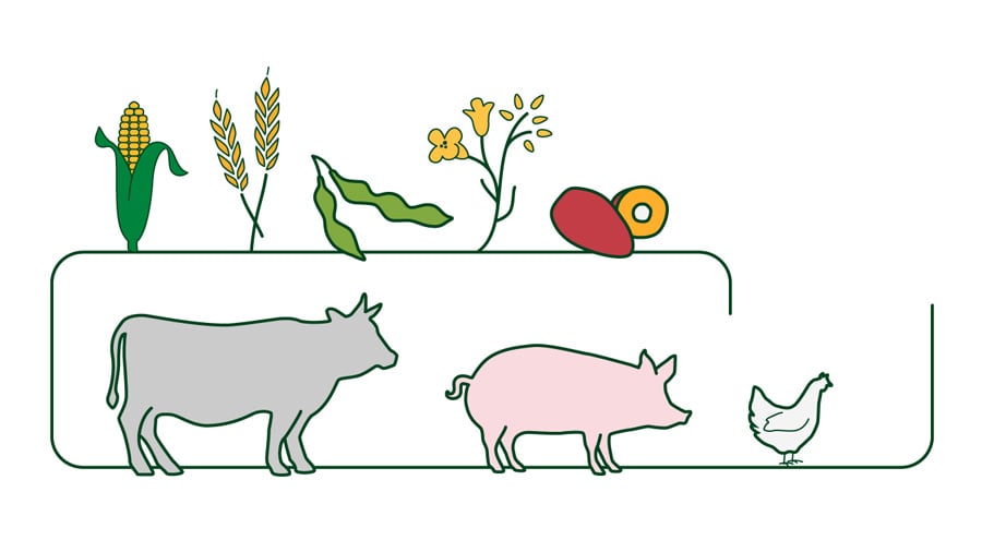 La résilience du système alimentaire, un enjeu croissant