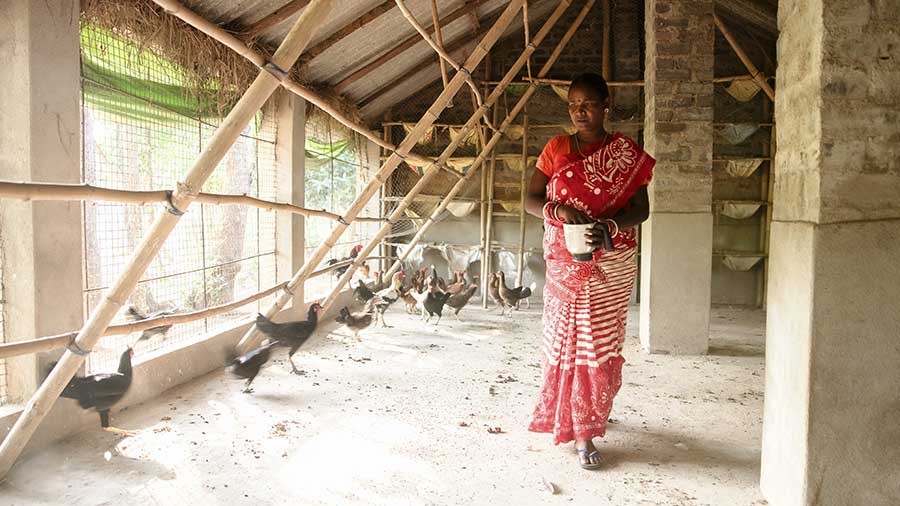 A woman wearing a pink and yellow sari stands in front of a metal chicken coop. 