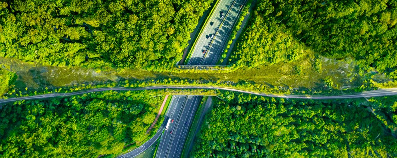 trucks on bridge over river image