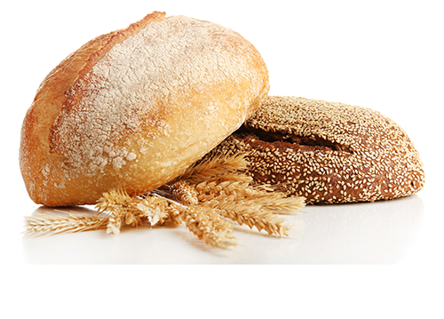 Plant Proteins for Bakery - Wheat Protein