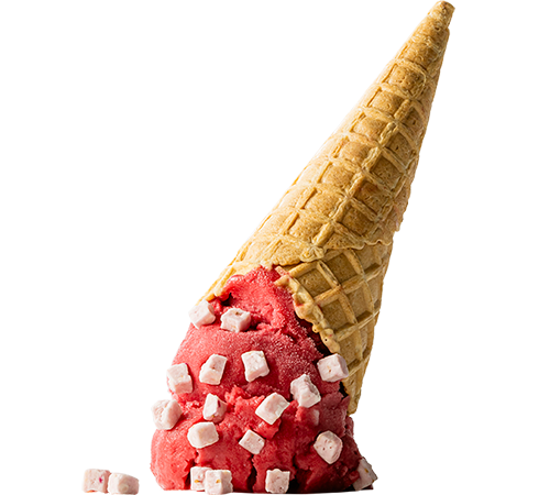 Decorations & Inclusions for Ice Cream - Others