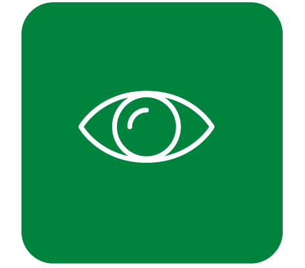 White eye outline in green square