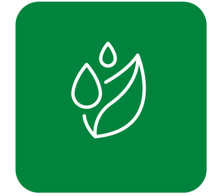 outline of white leaves in green square