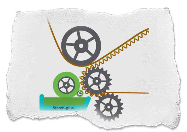 Trends - Corrugated Process
