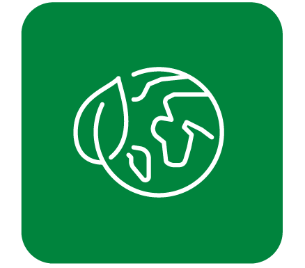 White globe outline in green square