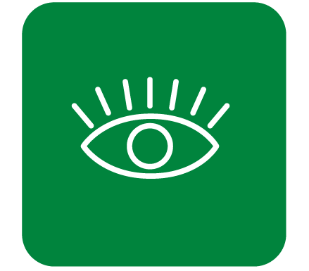 White eye and lashes outline in green square