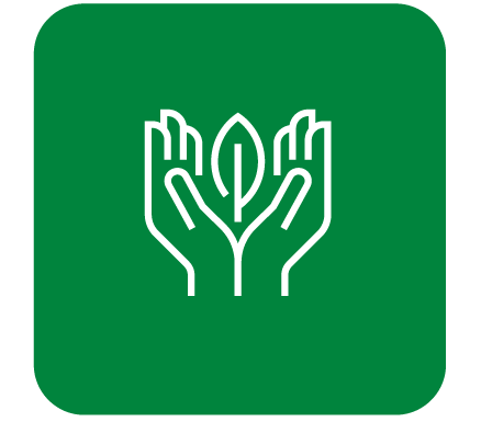 hands holding leaf white outline in green square
