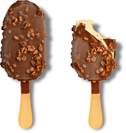 LYGOMME FM 8000 and 9000 series: Ice-cream premium extruded products