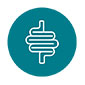 Gut & Digestion
