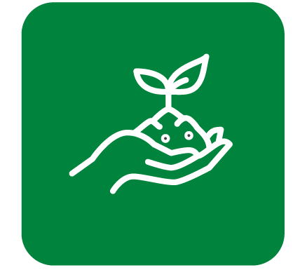 green square - white outline of hands holding leaves