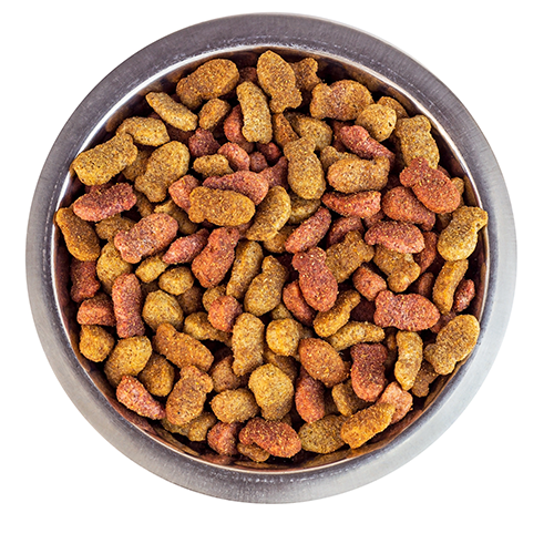 Sweeteners for Pet Food - Full calorie sweeteners