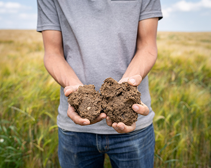Regenerative agriculture: Working towards sustainability goals together