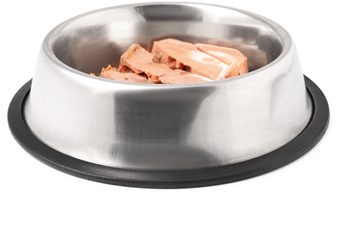 Texturizers for Pet Food - Carrageenan, Seaweed Powder and Xanthan Gum