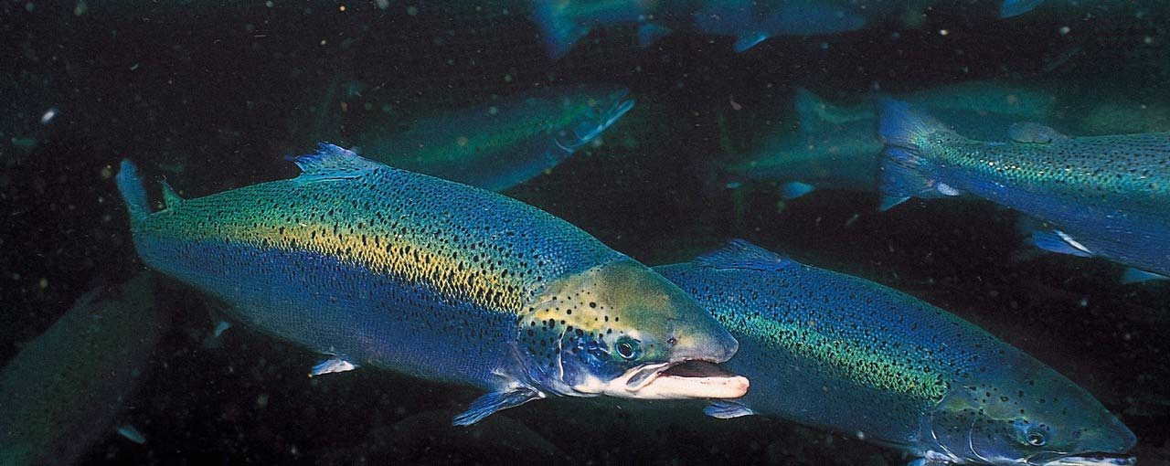 Our performance in 2025