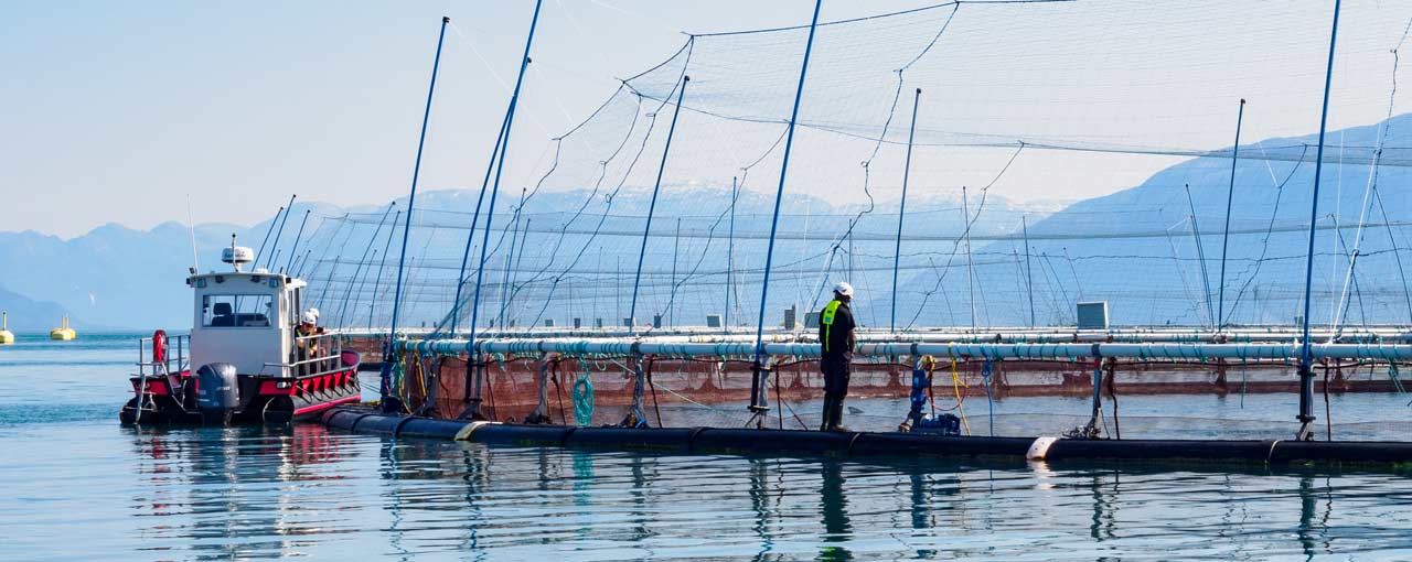 How we mitigate risks