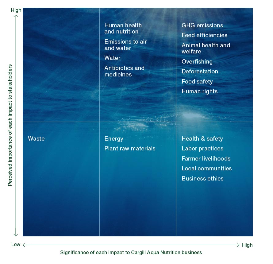 Our Materiality