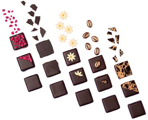 Decorations and Inclusions for Chocolate Confectionery - Customized Solutions