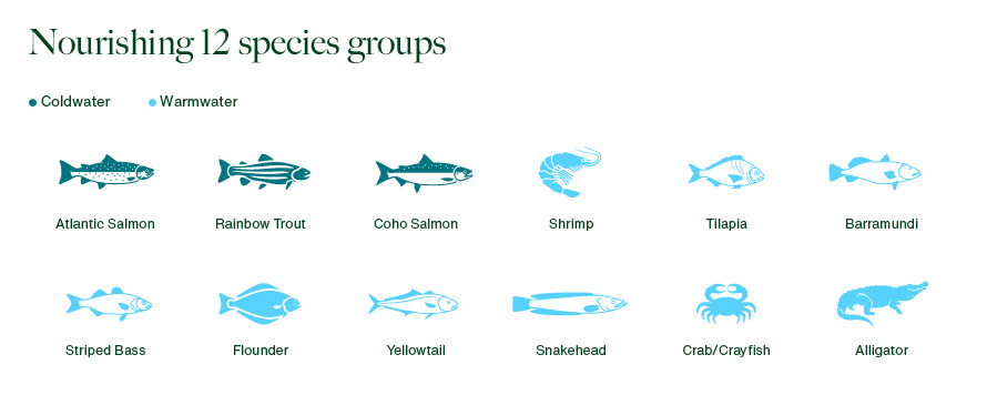 Species