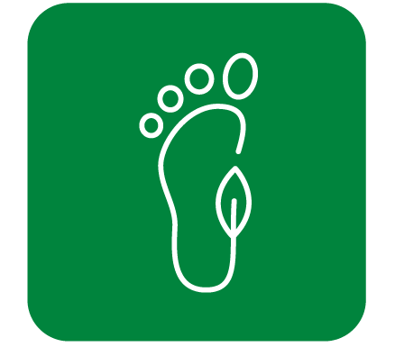 white outline of foot in green box