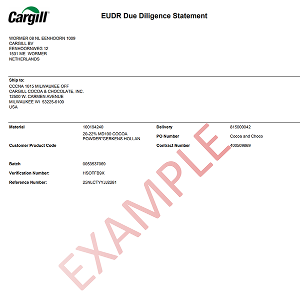 Due Diligence Statement - Example