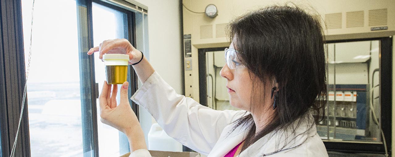 A lab technician holding up a canola oil sample. A lab technician holding up a canola oil sample.