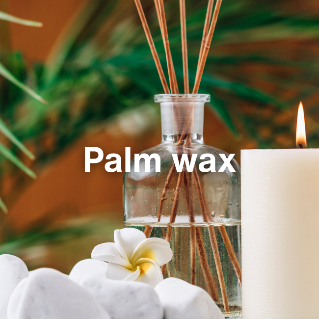 palm wax palm wax