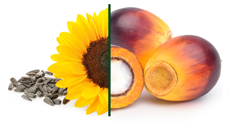 Edible Oils for Bakery - Blends - Individual blends from liquids & fats