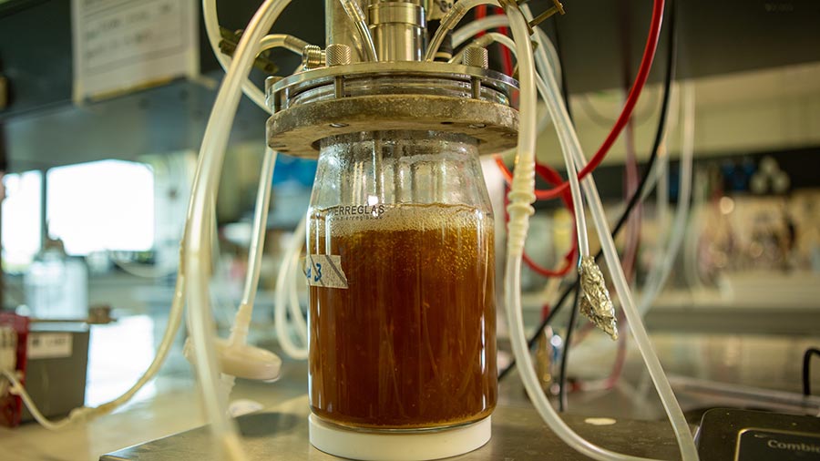 A clear bottle with brown liquid fermenting inside. 