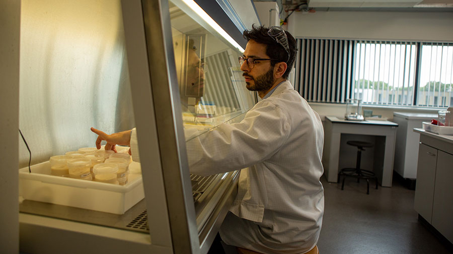 A man in a white lab coat and wearing glasses sits and moves a clear plastic cup filled with fermented liquid. 