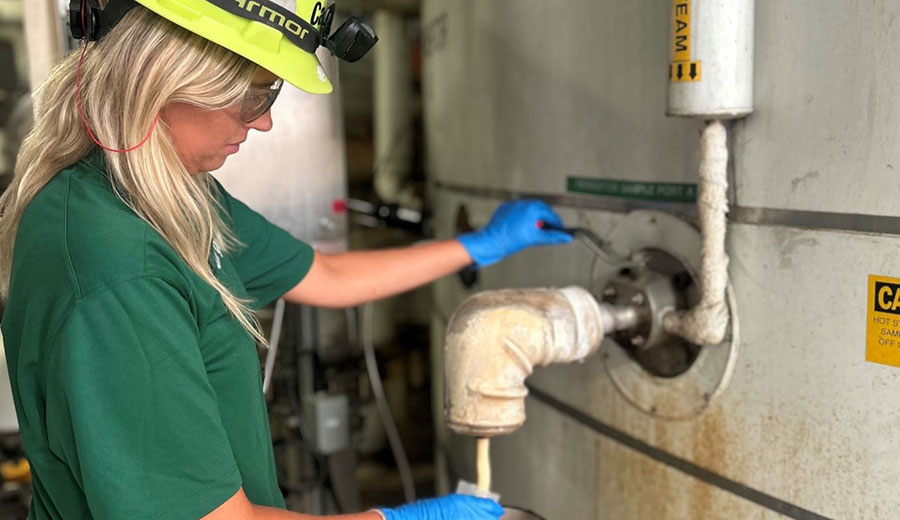 fermentation-explained-cargill