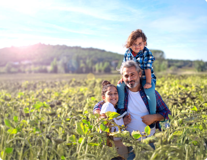 2025 Impact report feature image