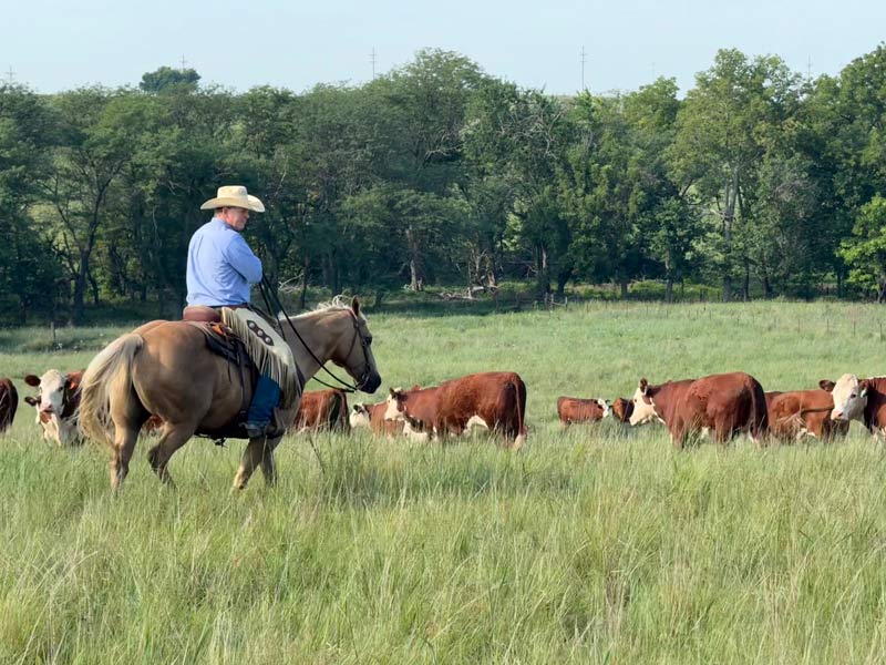 Jarrod Gillig, senior vice president of Cargill’s North American beef business, on his family’s homestead in Blue Rapids, Kansas. 