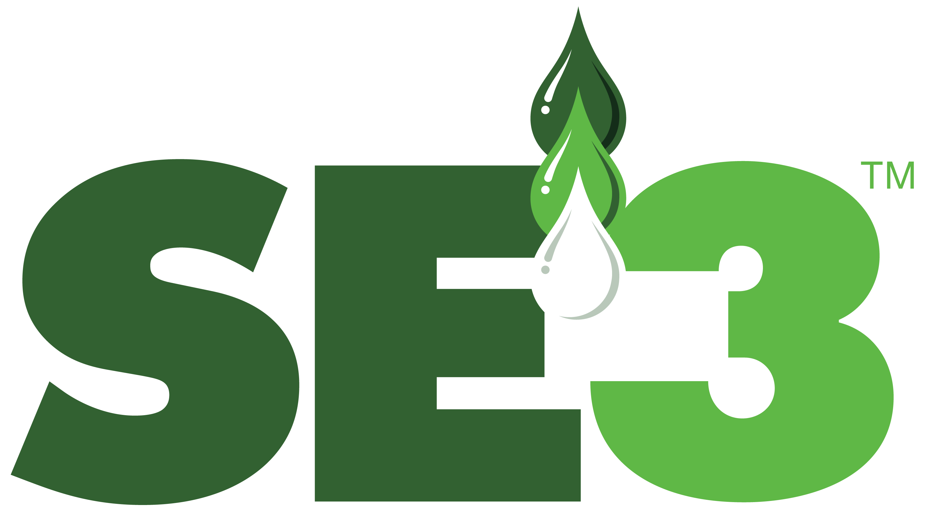SE3 logo