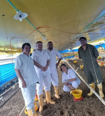 micronutrition-animal-nutrition-healthy-gut