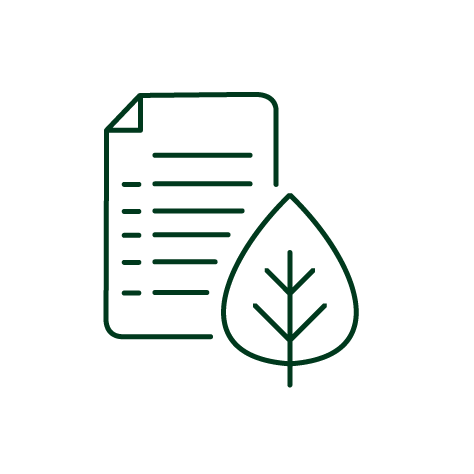 green outline of page and leaf