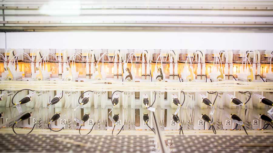 A row of 18 fermentation tanks inside a lab.   