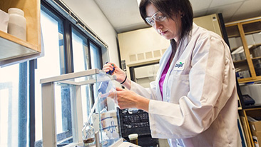 three-innovation-trends-future-food