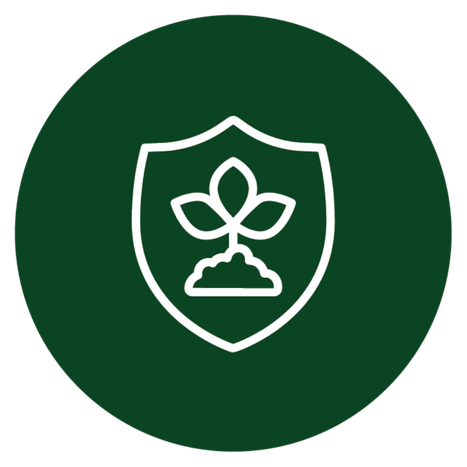 Shield icon protecting a growing plant