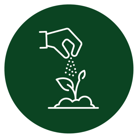 Hand sowing seeds over a young plant icon