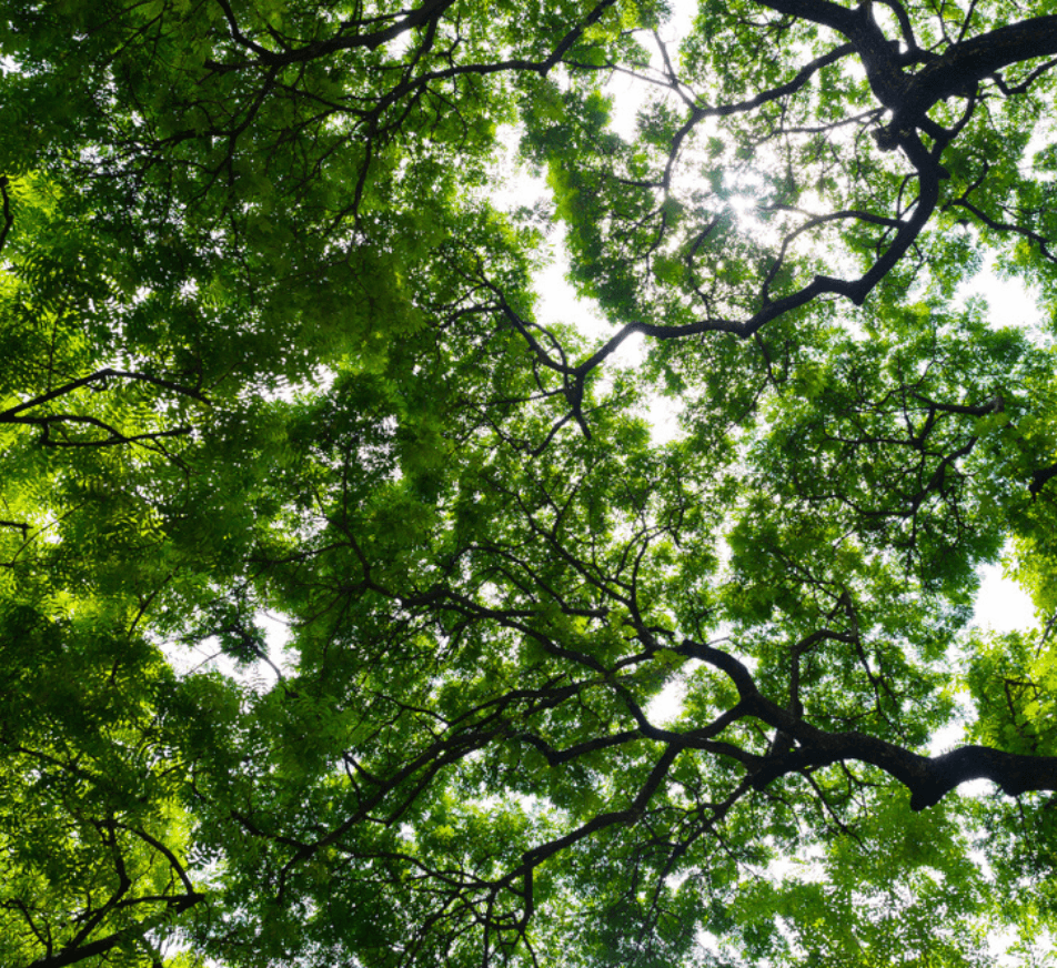 FR3 - Sustainability Image