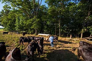 2025 Photo Comp_1476 (1).jpg